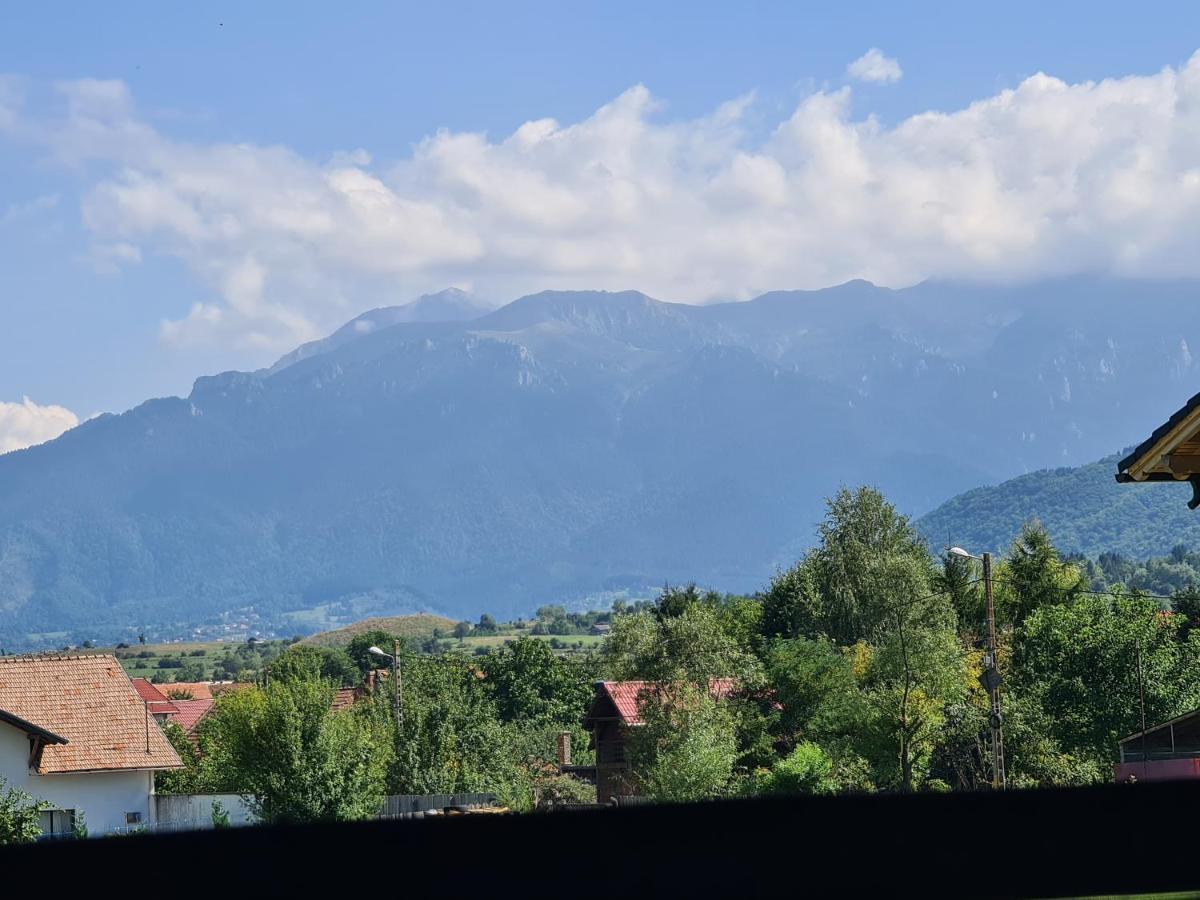 Maricom Home Zărneşti Exteriör bild