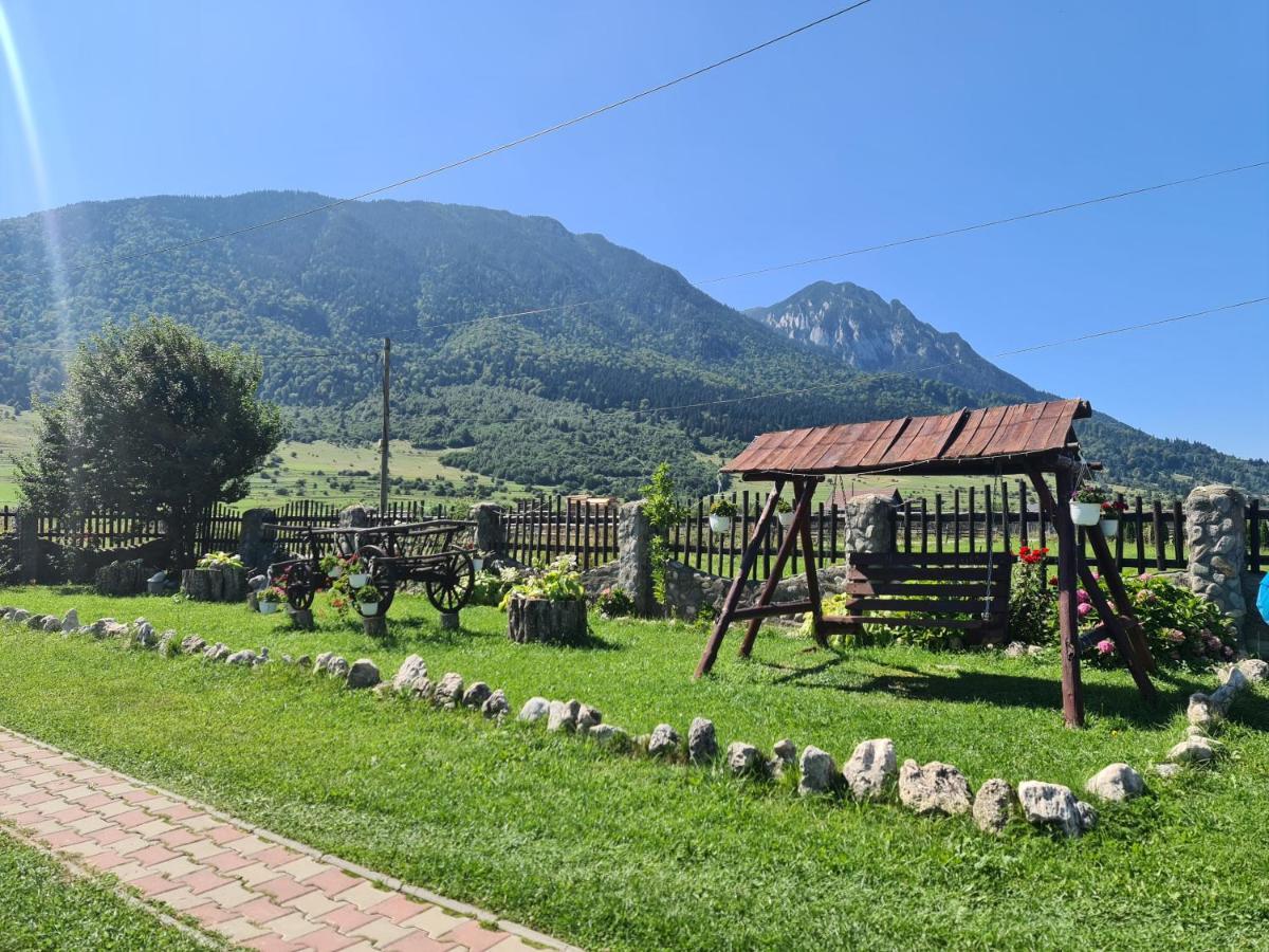 Maricom Home Zărneşti Exteriör bild